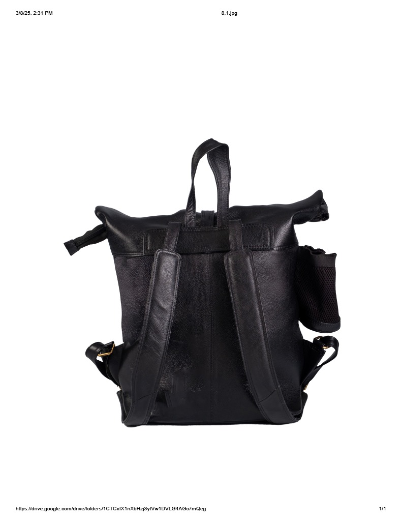 Backpack view 2